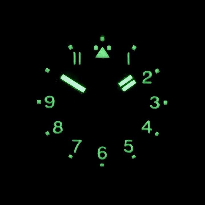 Vostok Amphibia 72094A