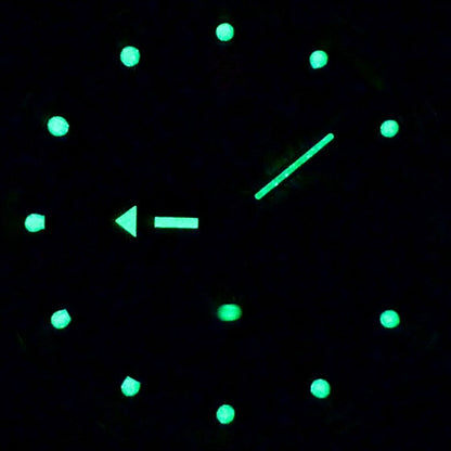 Vostok Amphibia 420634 Watch