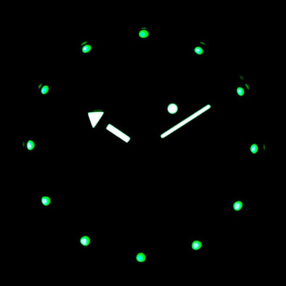 Vostok Amphibia 12041G Watch [Exclusive] | Scubadudestore