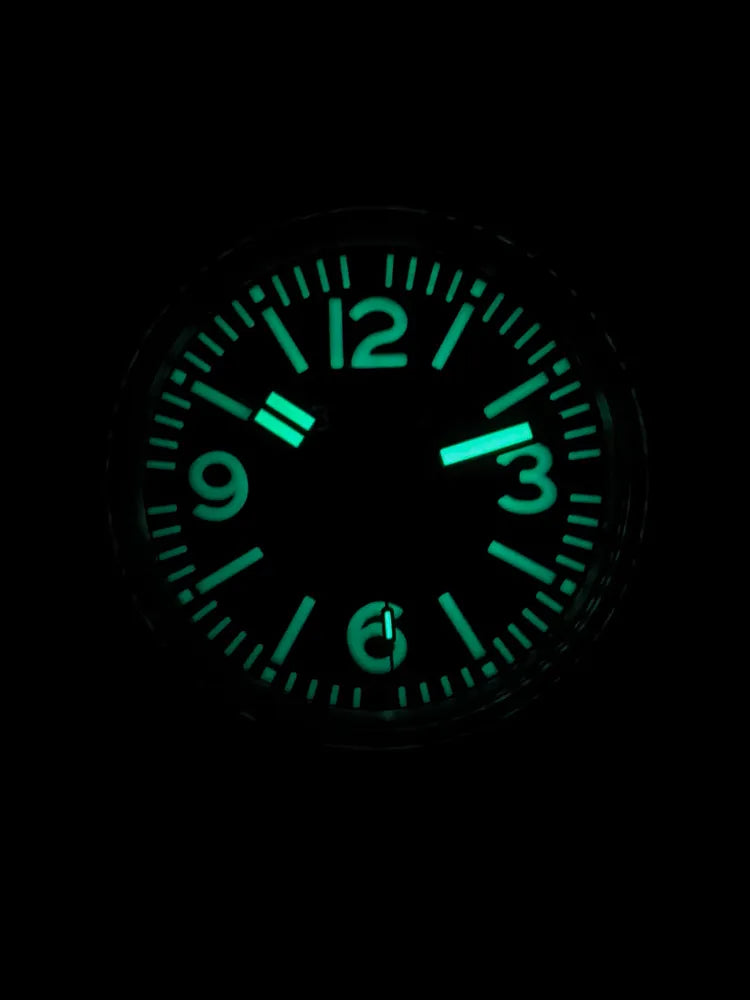 Vostok Amphibia 17053G Watch [Exclusive]