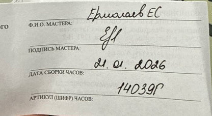 Vostok Amphibia 14039G Cosmodiver Luna Moon Dude Watch [Exclusive]