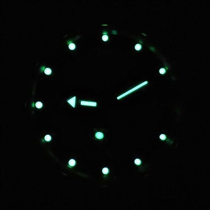 Vostok Amphibia 710432 Watch